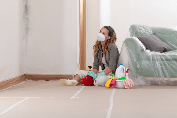 Reliable Mold Remediation contractor in Freeland, WA by 24 Hour Mold Removal